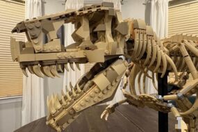 We Build LEGO Dinosaur Fossils: Tyrannosaurus Rex, The Most Impressive Skeleton Model in 68 Million Years