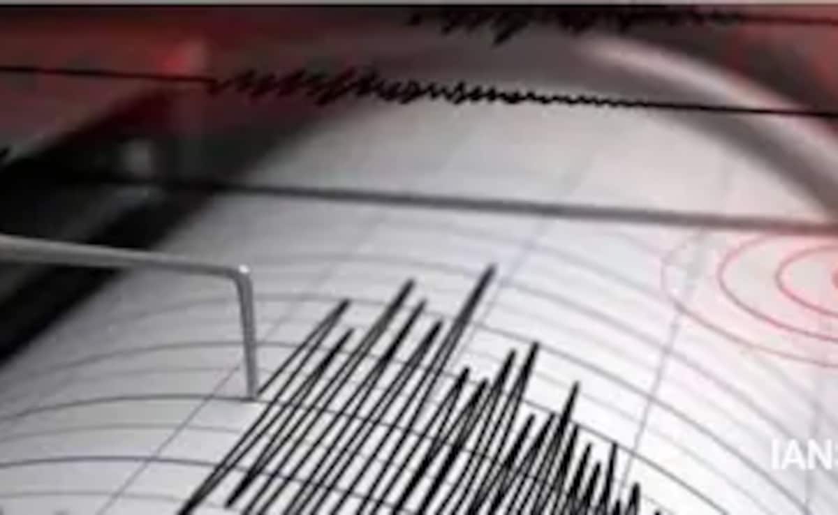 Earthquake Of Magnitude 3.4 Hits Gujarat, Mild Tremors Felt