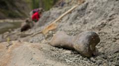 Solving the mystery of a dinosaur mass grave at the ‘River of Death’