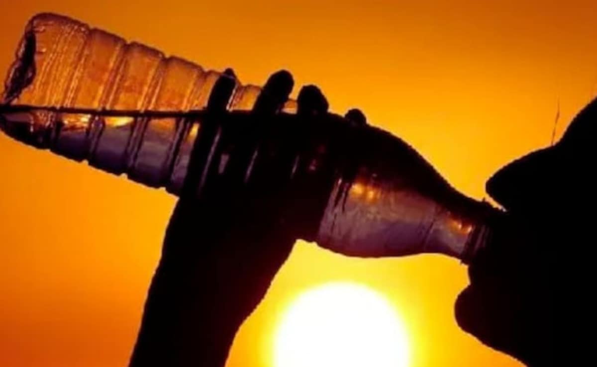 Europe Boils In Summer As Heatwave Warms The Continent
