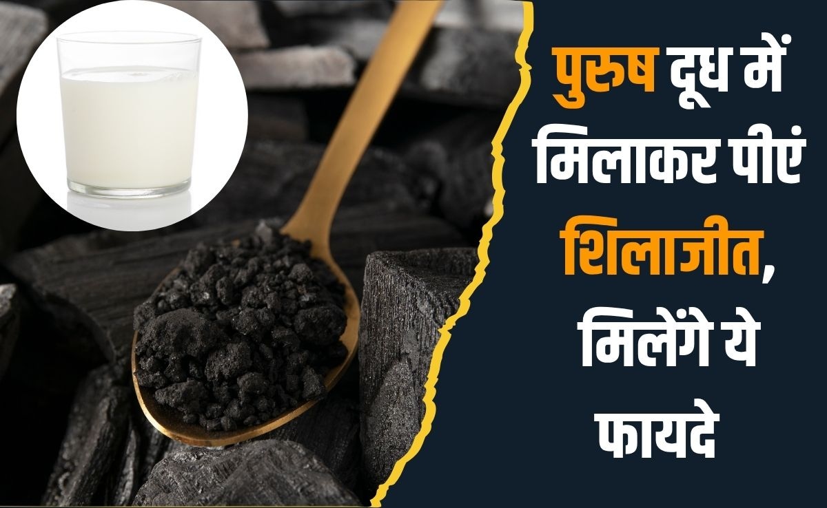 डॉक्‍टर ने कहा दूध में म‍िलाकर प‍िएंगे श‍िलाजीत तो पुरुषों को म‍िलेंगे ये वाले 7 फायदे, जान‍िए क‍ितनी मात्रा और कब करें सेवन