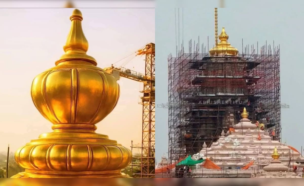 अयोध्या का राम मंदिर स्वर्ण शिखर से जगमग, जानें देश के ये 6 अन्य मंदिर कितने सोने में लिपटे