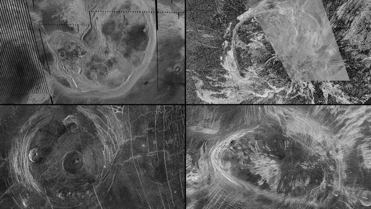 Venus May Be Geologically Active: New Study Reveals Tectonic Processes Shaping Its Surface