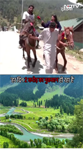 Pahalgam Terror Attack के बाद नहीं आ रहे पर्यटक, घोड़े वाले ने क्या कुछ बताया?