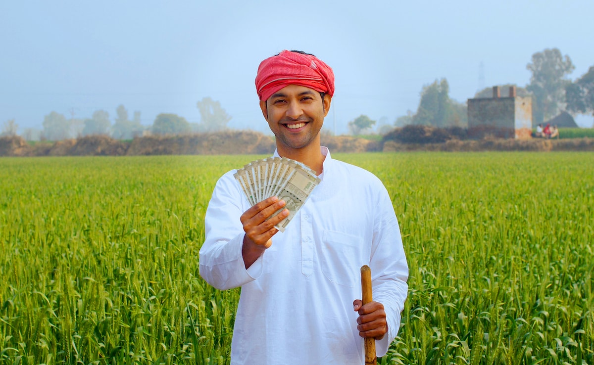 PM Kisan 20th Installment: अगर 20वीं किस्त के पैसे चाहिए तो तुरंत कर लें ये जरूरी काम, वरना नहीं मिलेंगे 2000 रुपये