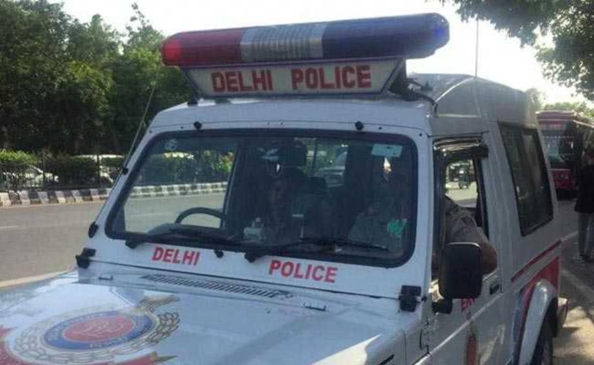 19-Year-Old Stabbed To Death In Delhi Over Road Rage: Cops