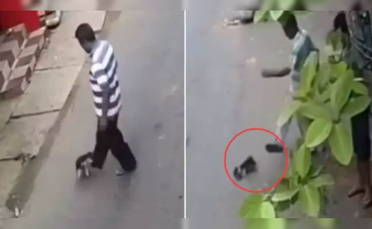 Puppy को बेरहमी से लात मारते शख्स को देख भड़का राहगीर, बीच सड़क सिखाया ऐसा सबक, लोग बोले- अब आ गई होगी अक्ल ठिकाने