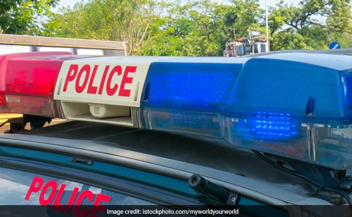 9-Year-Old Girl Dies After Being Raped, Stuffed In Bag In Delhi: Cops