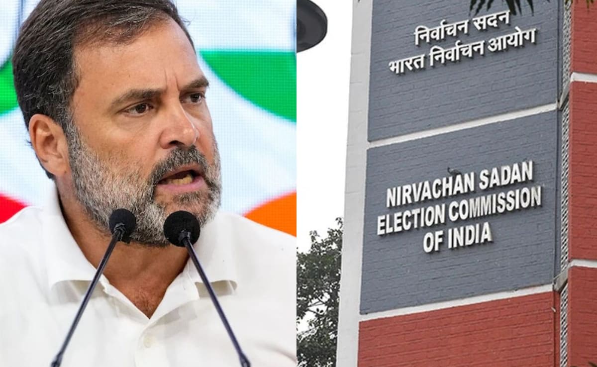Rahul Gandhi Made Allegations, But Sent No Letter To Election Commission: Sources