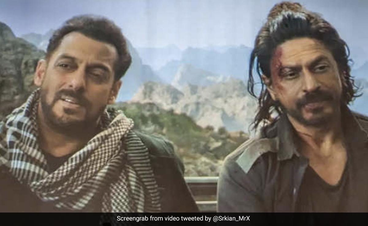 एक साथ मिशन पर नहीं जा पाएंगे सलमान खान और शाहरुख खान, टाइगर वर्सेज पठान पर लगा फुल स्टॉप