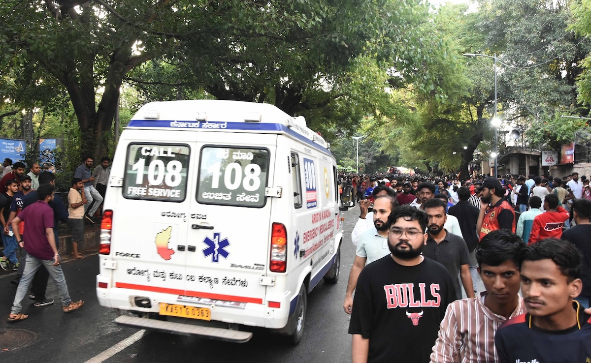 Action Sought Against Karnataka Over Damage To Bengaluru Park During RCB Event