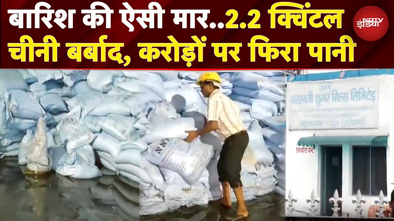 Haryana: Yamuna Nagar की Sugar Mill में घुसा बरसात का पानी, 50 करोड़ की चीनी बर्बाद | Weather |Rain
