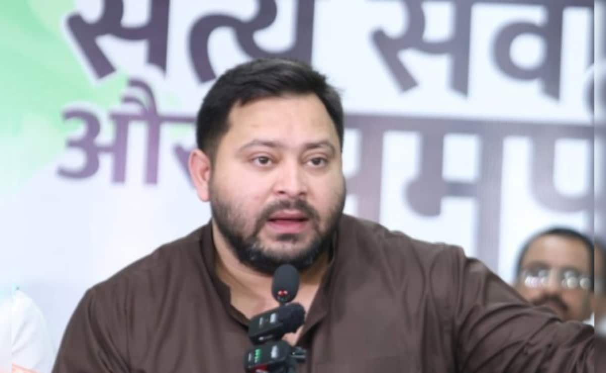 Tejashwi Yadav’s “Can Review” Hint On Bihar Liquor Ban Ahead Of Polls