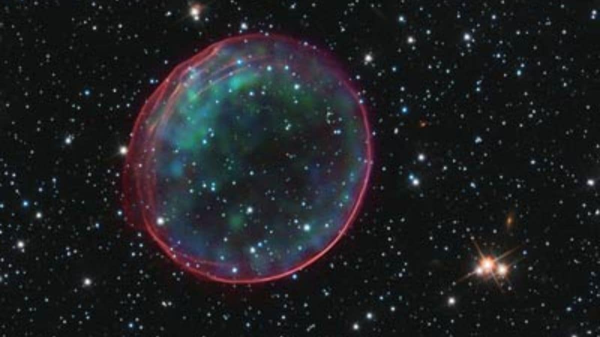 Astronomers Discover a Gigantic Supernova Remnant in the Large Magellanic Cloud