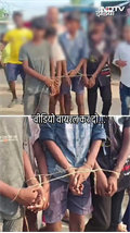 मटर चुराने पर मासूमों को ‘तालिबानी’ सजा | Bihar News
