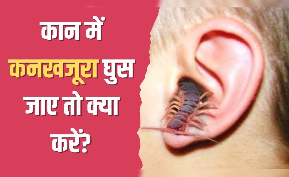 कान में कनखजूरा घुस जाए तो क्या करें? योग गुरु कैलाश बिश्नोई ने बताया इस एक काम को करने पर तुरंत आ जाएगा बाहर
