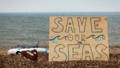 How much sewage is spilled near you?