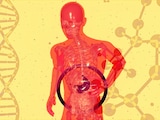 Fatty Liver: लिवर में फैट जमा होने का कारण क्या है? डॉक्टर ने बताया