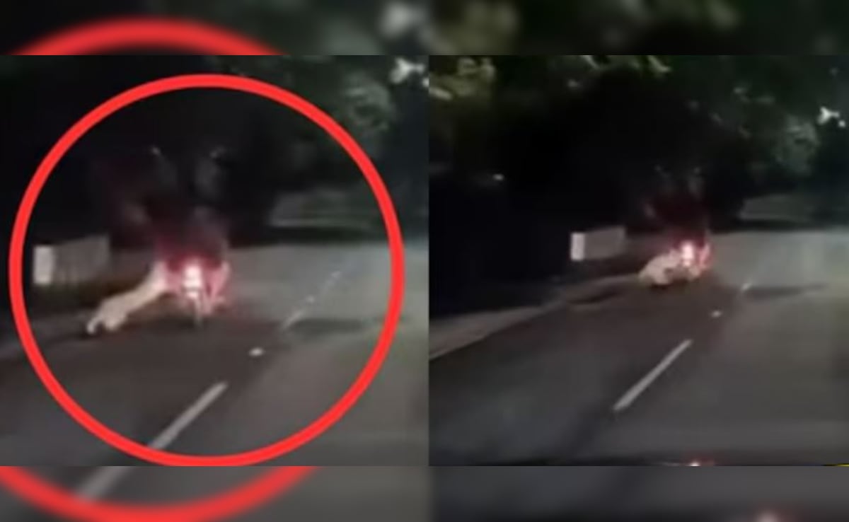 कैमरे में कैद खौफनाक मंजर, रात के अंधेरे में बाइक सवार पर झपटा तेंदुआ, चंद सेकंड से बची जान