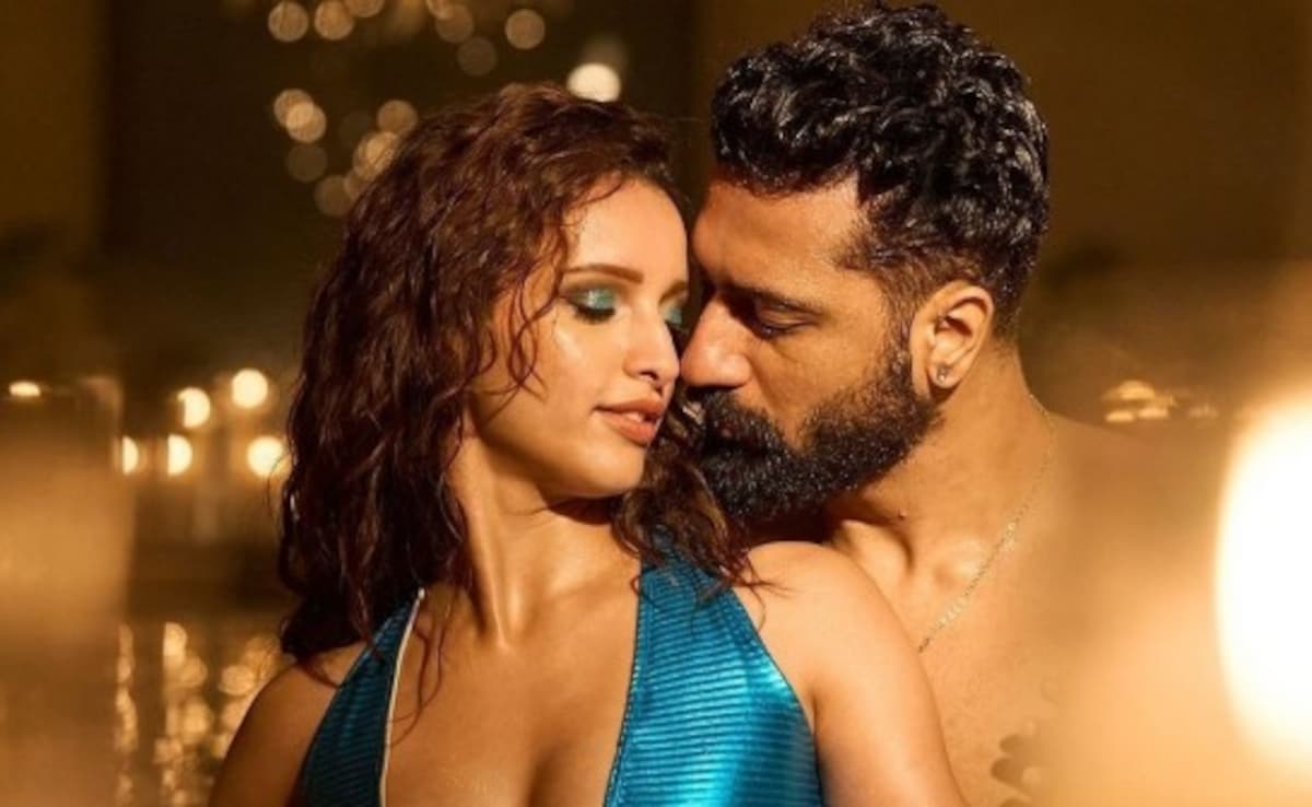 What Triptii Dimri Wants To Learn From Bad Newz Co-Star Vicky Kaushal