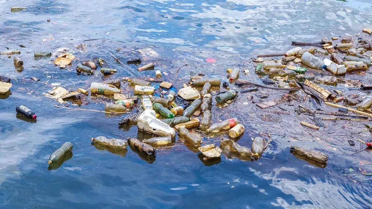 Plastic-eating fungi could help clean up oceans, say scientists