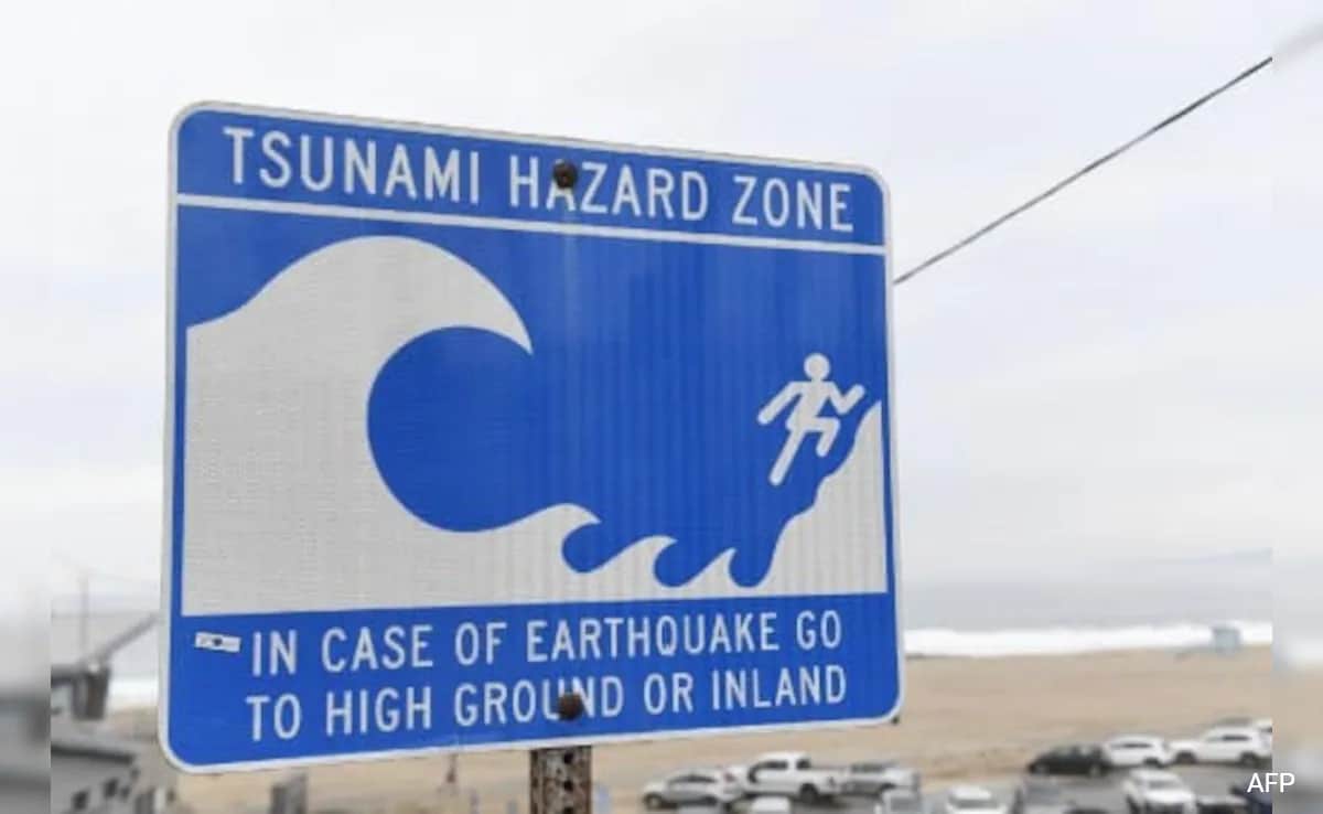 2011 Tsunami Recap: When 40-Metre Waves Crashed Into Japan Coasts