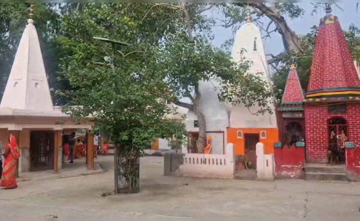 बदायूं के मंदिर में नमाज पढ़ने वाले अली मोहम्मद को लेकर पुजारी का खुलासा, वो तो 40 साल से….