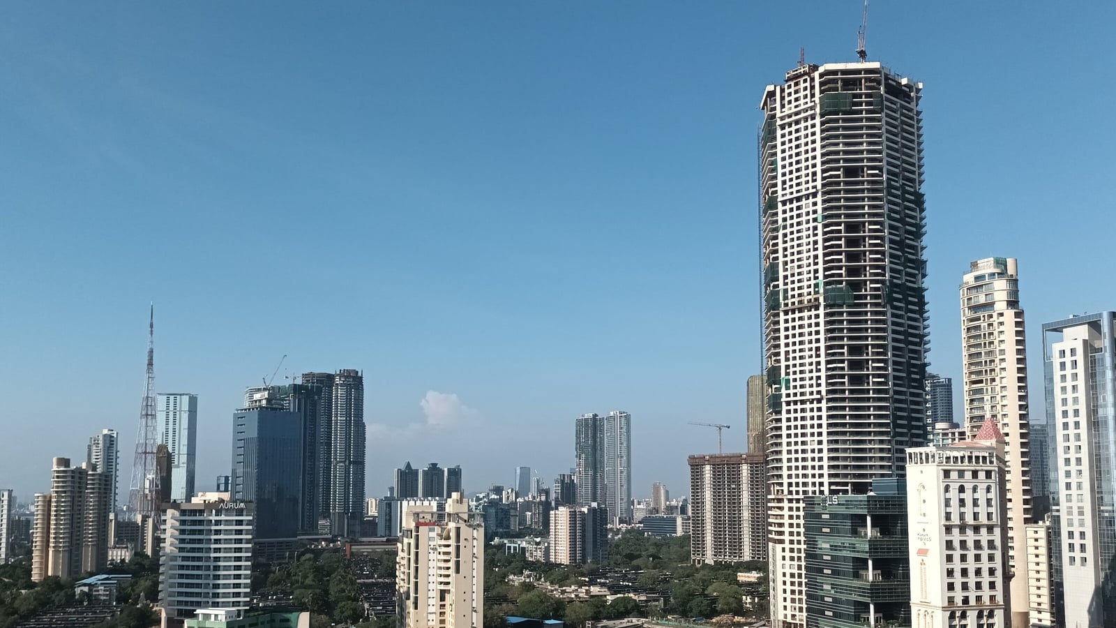 Mumbai Real Estate: Blue Jet Healthcare promoter family buys three Worli luxury apartments for more than  ₹202 crore