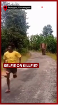 Selfie Or Killfie?: Elephant Charges At Chhattisgarh Youths Taking Selfie