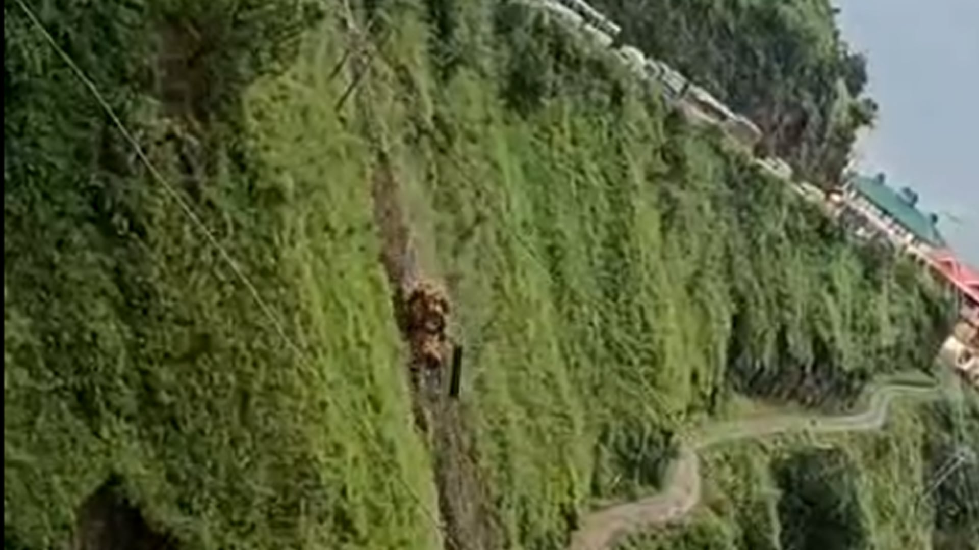Bulldozer Falls 300 Metres From Steep Road In Himachal, Driver Critical