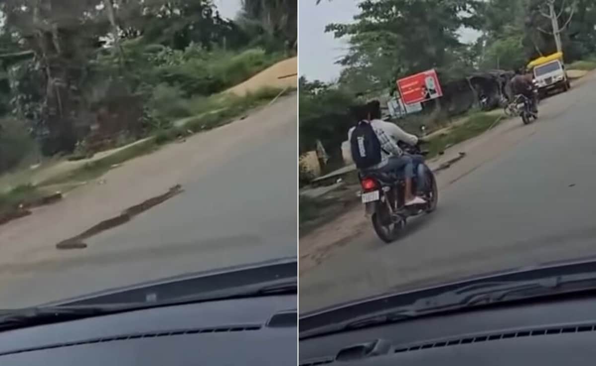 बाइक के पीछे अजगर को रस्सी से बांधकर कई किलोमीटर तक घसीटता रहा शख्स, बेजुबान के साथ ऐसी क्रूरता देख भड़के लोग