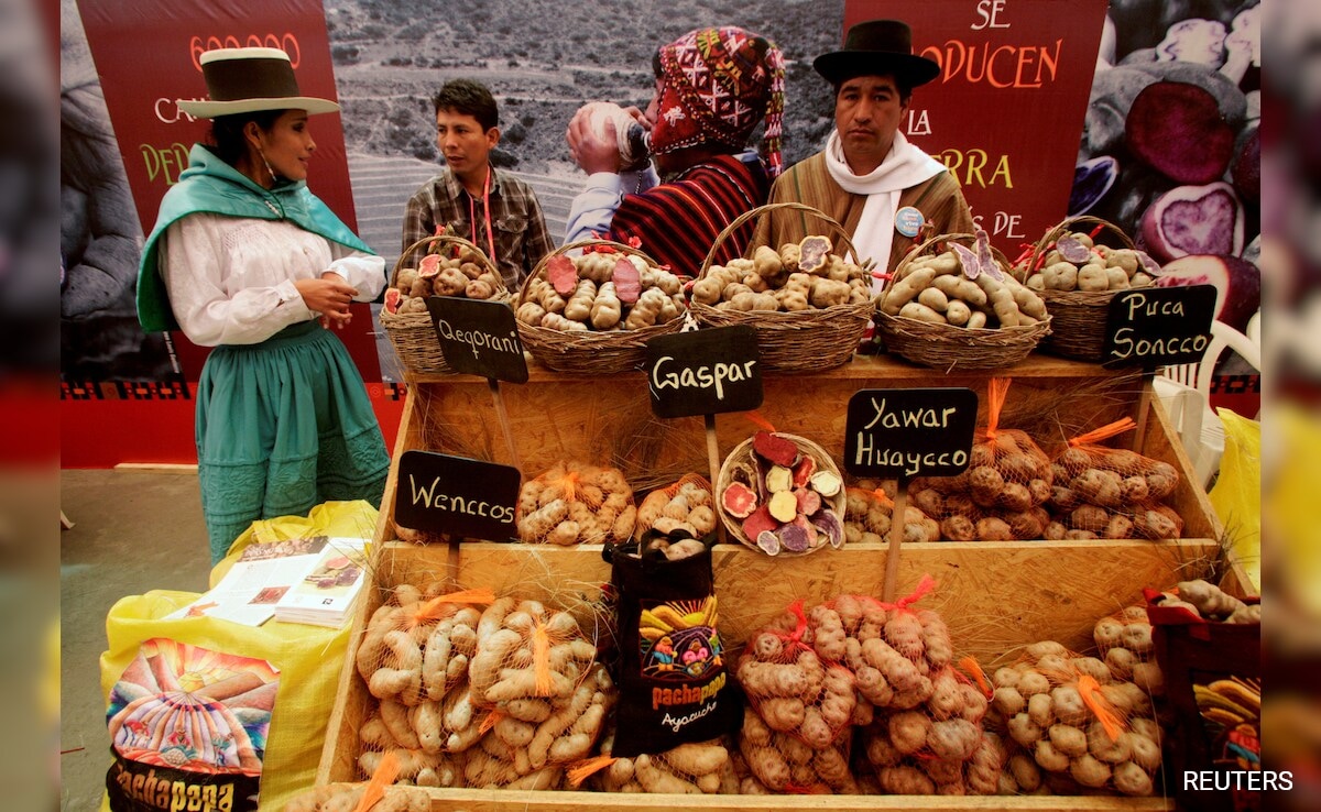 Evolutionary Origins Of Potato Revealed. And A Tomato Was Involved