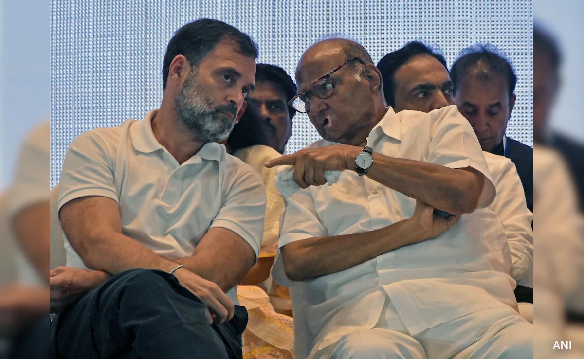 Sharad Pawar’s ‘160 Seats Offer’ Claim Follows Rahul Gandhi’s Big Charge