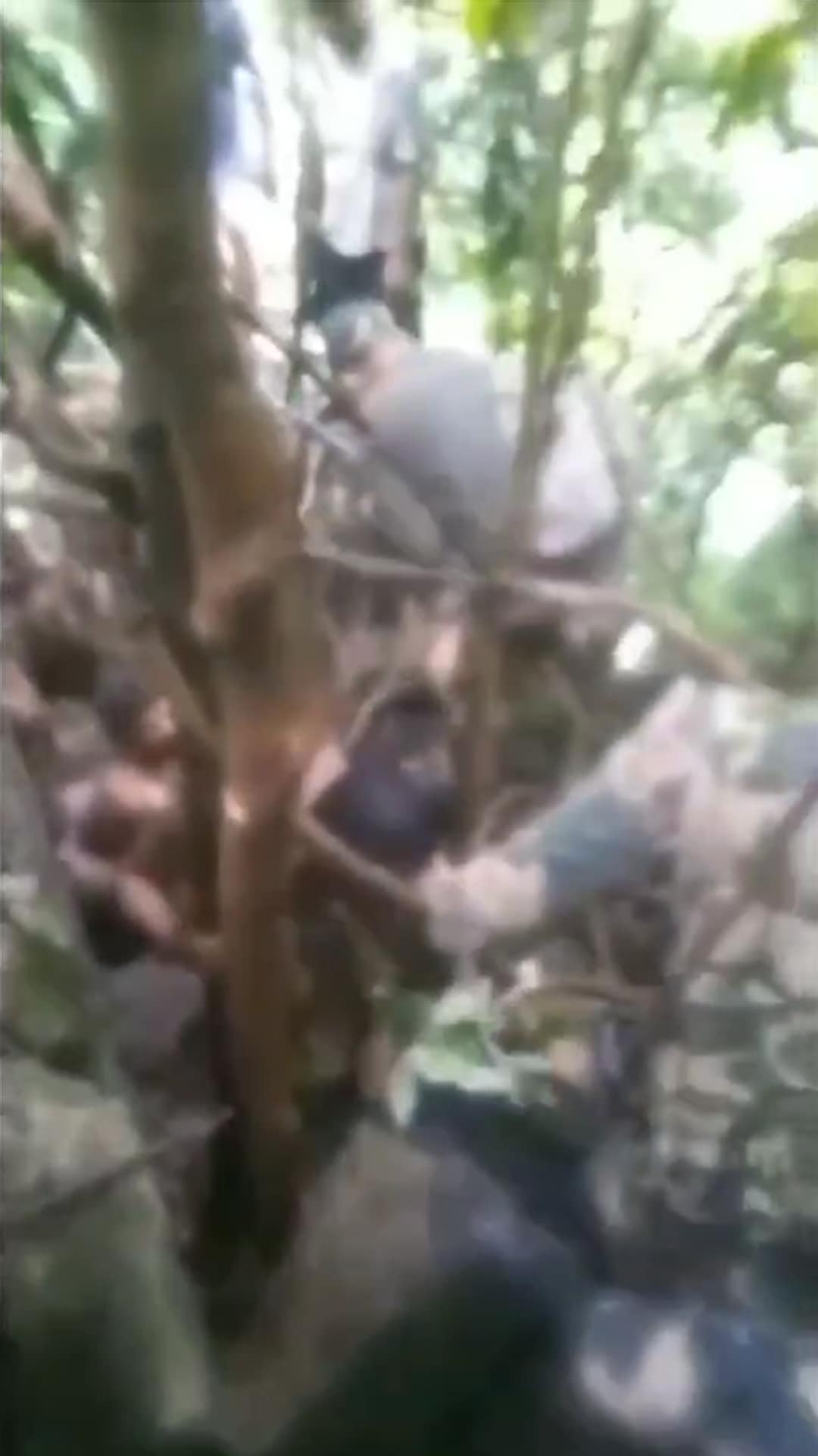 BSF Catches 4 Bangladeshi Men Who Infiltrated Into Mizoram, Attacked Indian