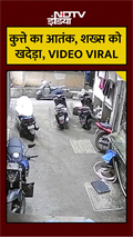 Dog Attack VIRAL VIDEO: नहीं थम रहा आवारा कुत्तों का आतंक, फिर एक कुत्ते ने शख्स को लपेटा | #Shorts