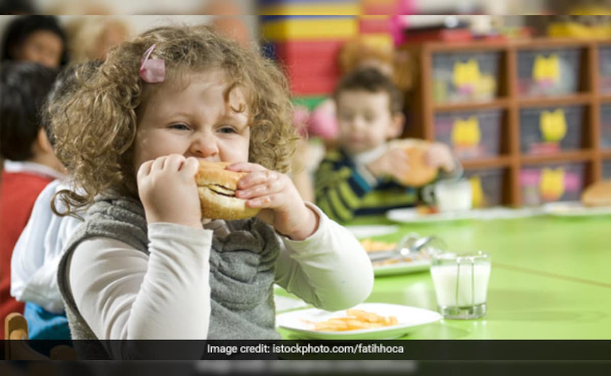 जंक फूड से बना लें दूरी… मोटापे को लेकर UN की रिपोर्ट में दी गई चेतावनी, जानें क्या-क्या कहा