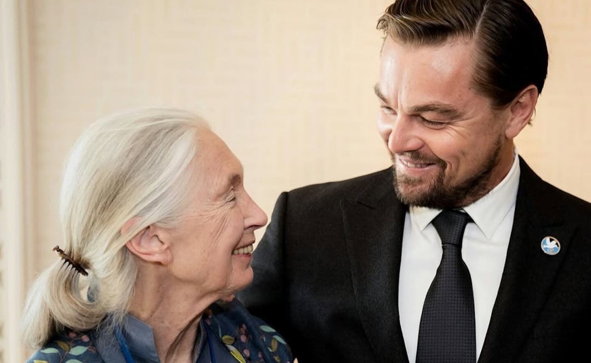 Leonardo DiCaprio Pays Heartfelt Tribute To Jane Goodall: “We Have Lost A True Hero”