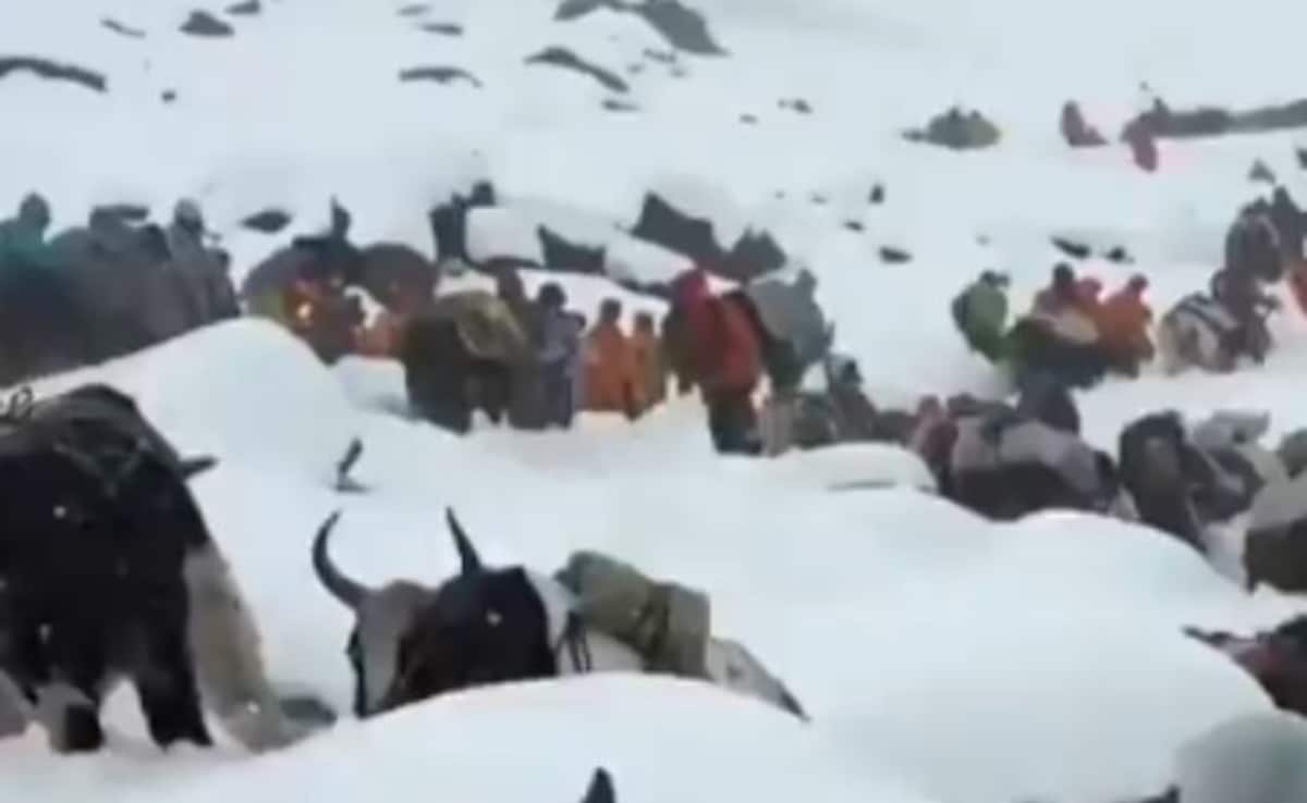 Video: Blizzard Traps 1,000 Trekkers On Mount Everest, Over 350 Rescued