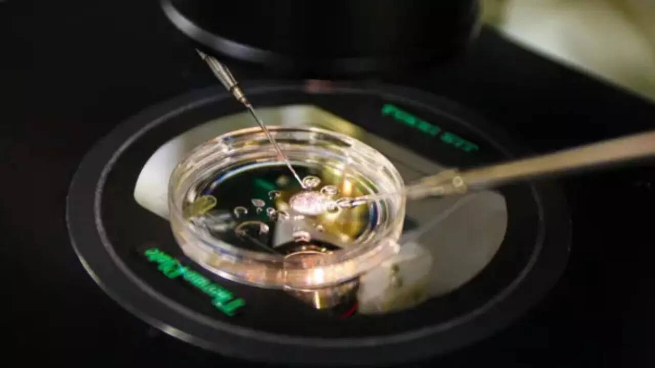 Could your skin hold the key to creating life? Scientists turn human skin cells into eggs in groundbreaking study