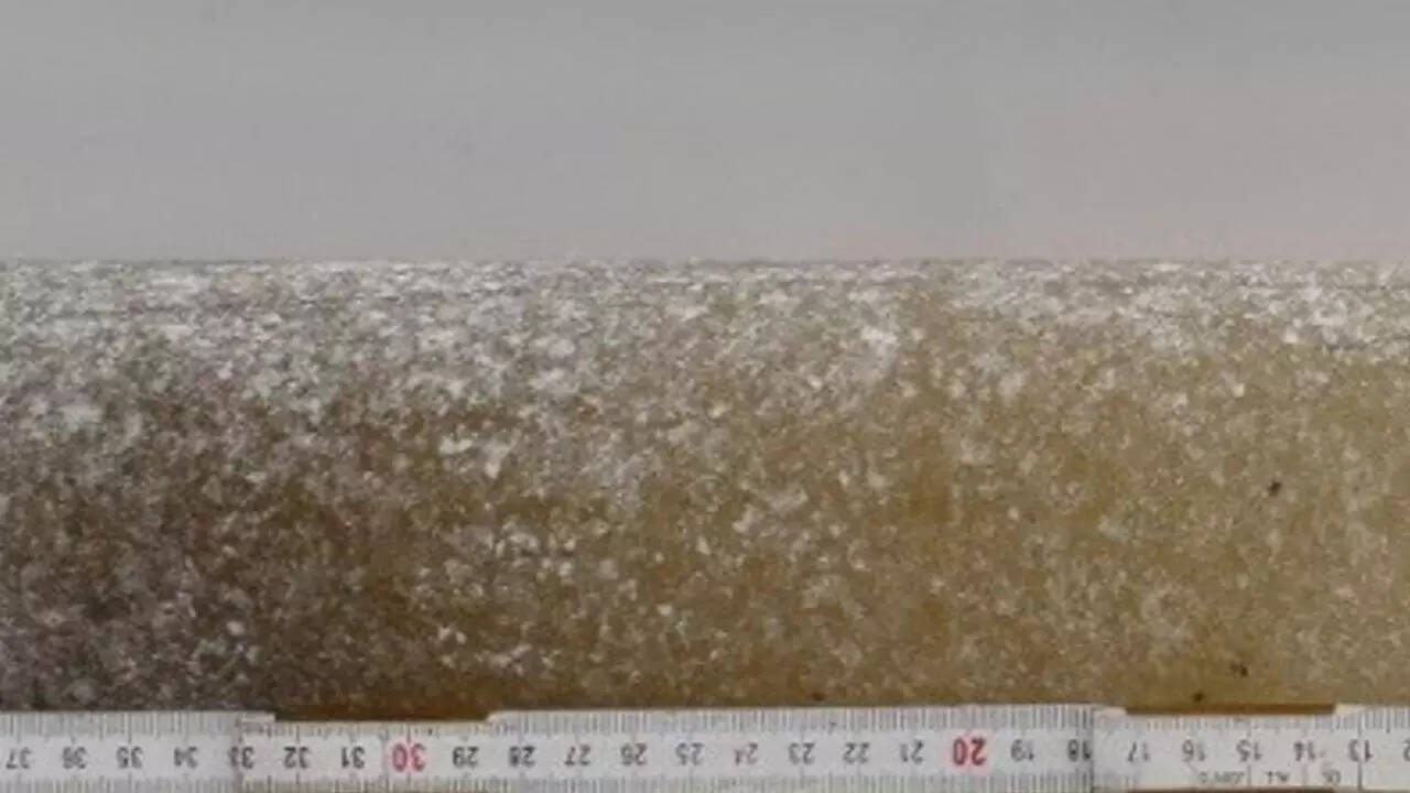 6-million-year-old Antarctic ice reveals how Earth once heated; know what it warns about tomorrow