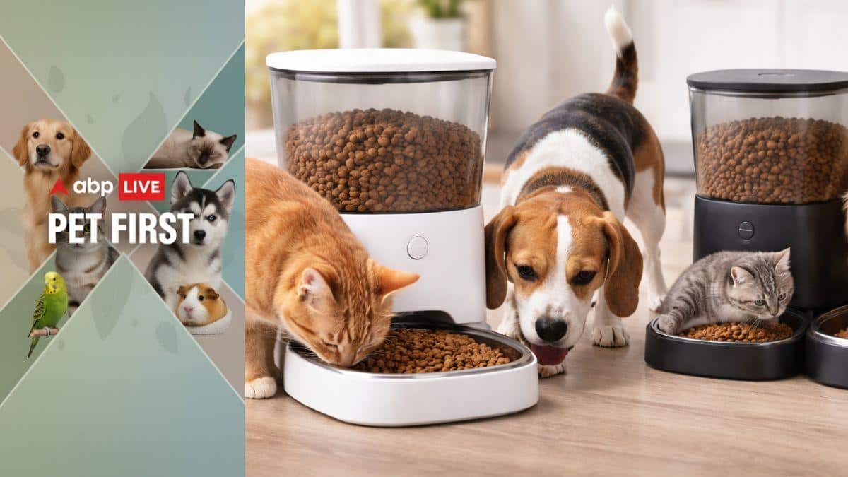 Living With Pets? These Smart Tools Help Manage Hair, Feeding, Air And Safety