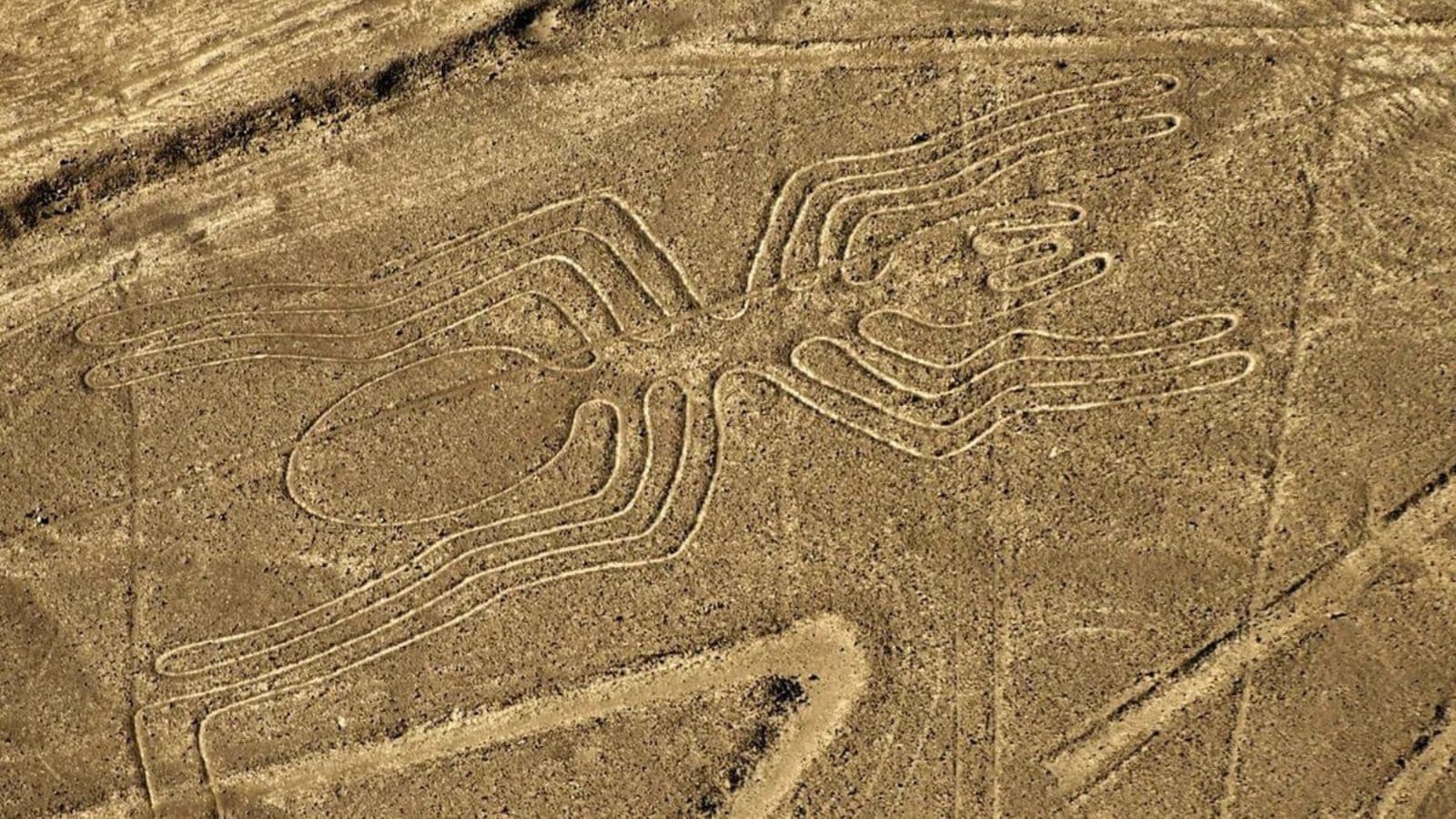 Scientists turn to artificial intelligence to decode ancient desert mystery
