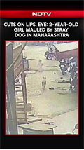 Cuts On Lips, Eye: 2-Year-Old Girl Mauled By Stray Dog In Maharashtra