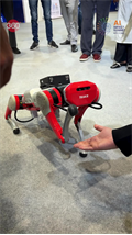 Robot Dog At AI Impact Summit 2026