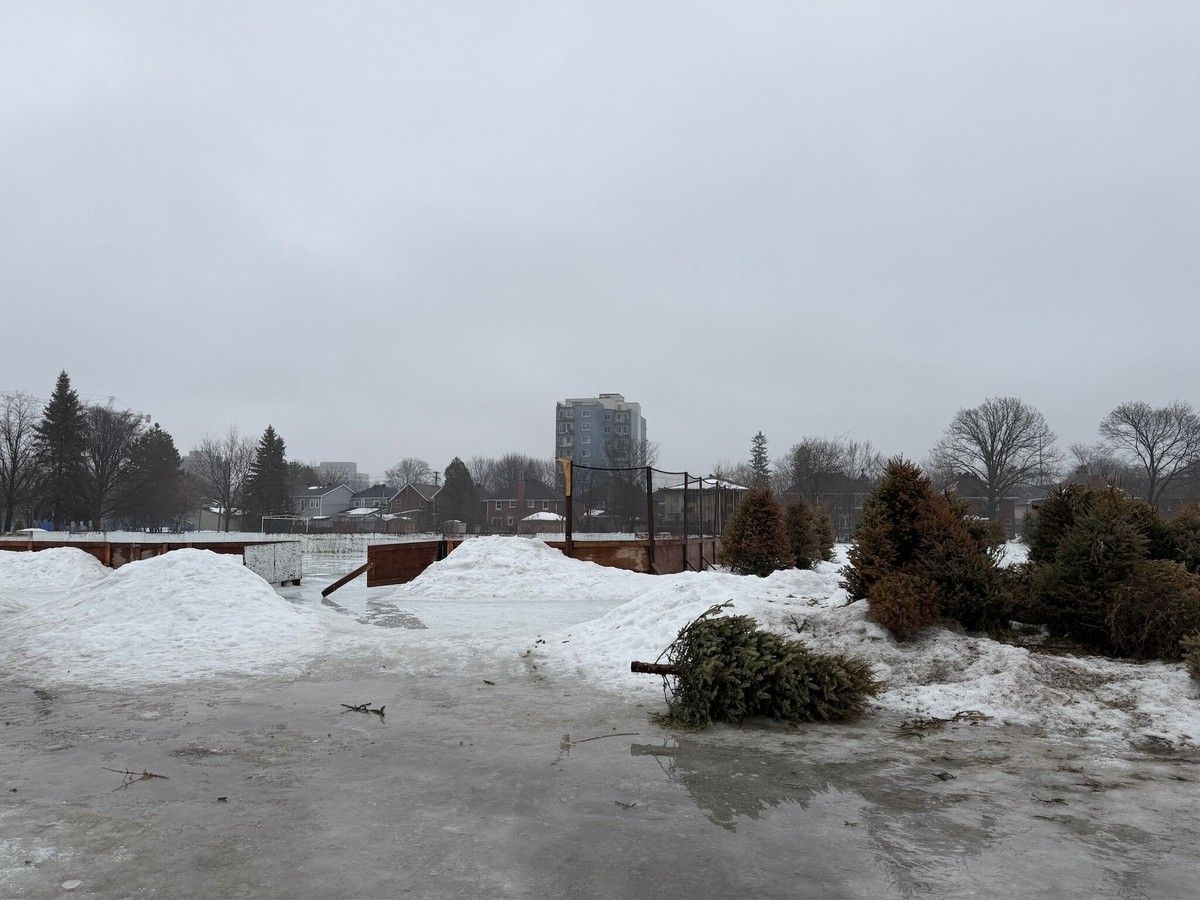 ‘Good morning Hellscape?’ Ottawa mayor takes reaction to social-media photo in stride