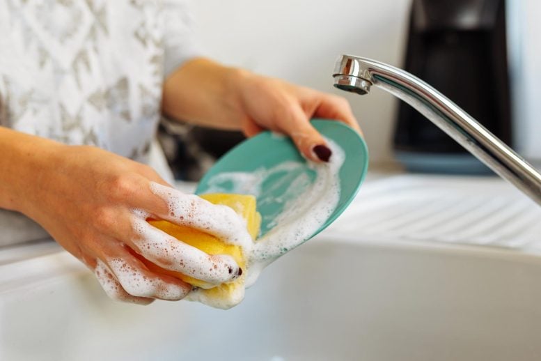 Bharat Journal Scientists Say Washing Dishes With a Sponge Has a Concerning Side Effect