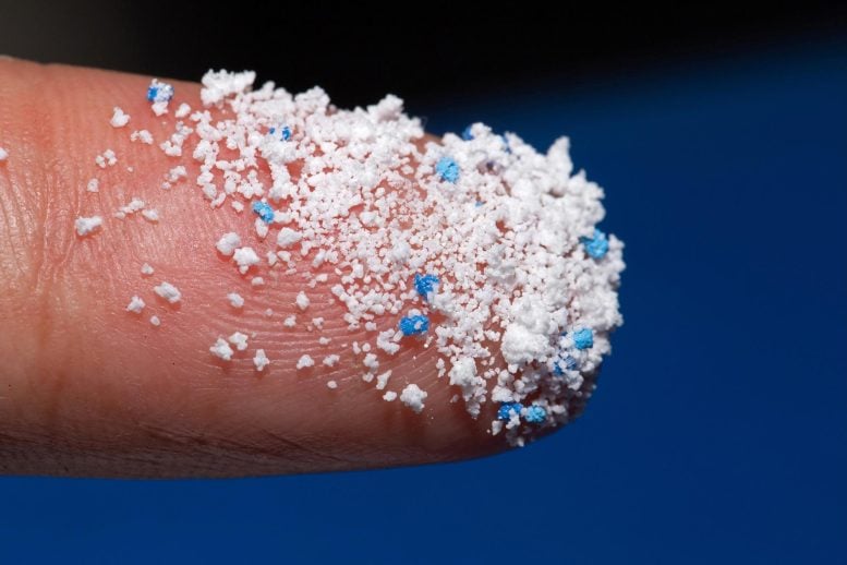Bharat Journal Scientists Say This Popular Food Could Help Your Body Get Rid of Microplastics