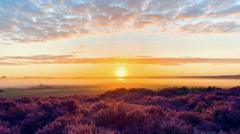 Wildlife trust’s centenary ‘free weekend in nature’