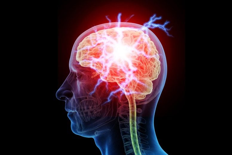 Bharat Journal What Causes Chronic Pain? Scientists Identify Key Culprit in the Brain