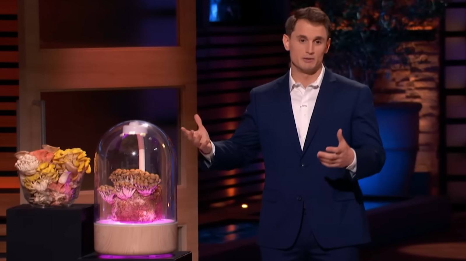 Bharat Journal Did The Terrashroom Survive After Shark Tank? Here’s What Happened After Season 16